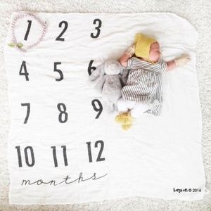 Baby Milestone Blanket